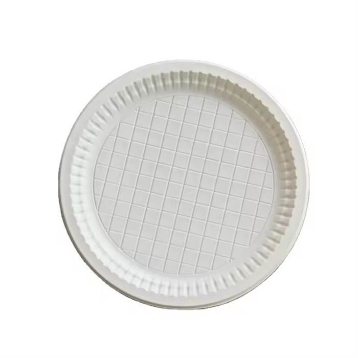 Biodegradable Corn Starch Round Plates  from disposablesInc.com. Import  disposable items from China, The best import service in China. 